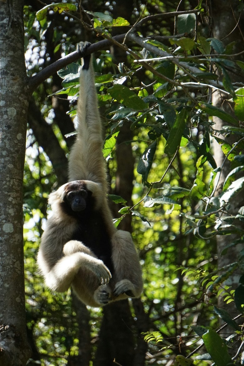 Biodiversity & Habitat Conservation