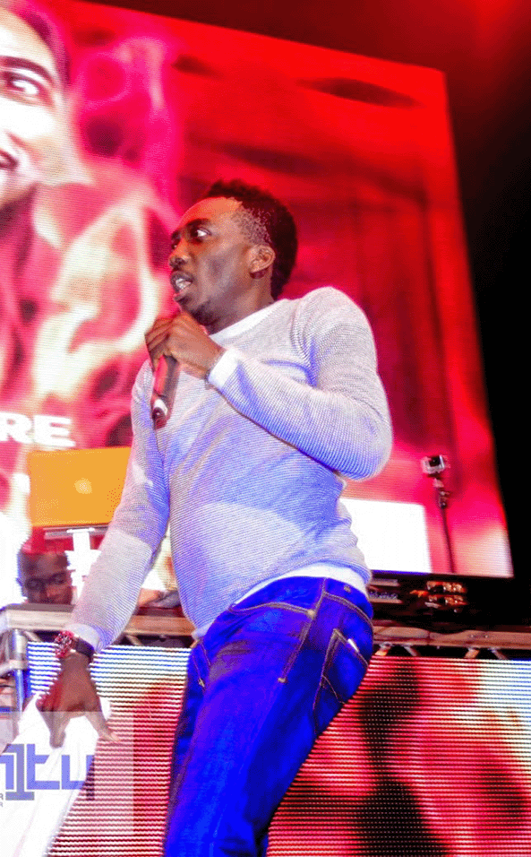 Bovi show
